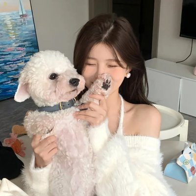 无头家族